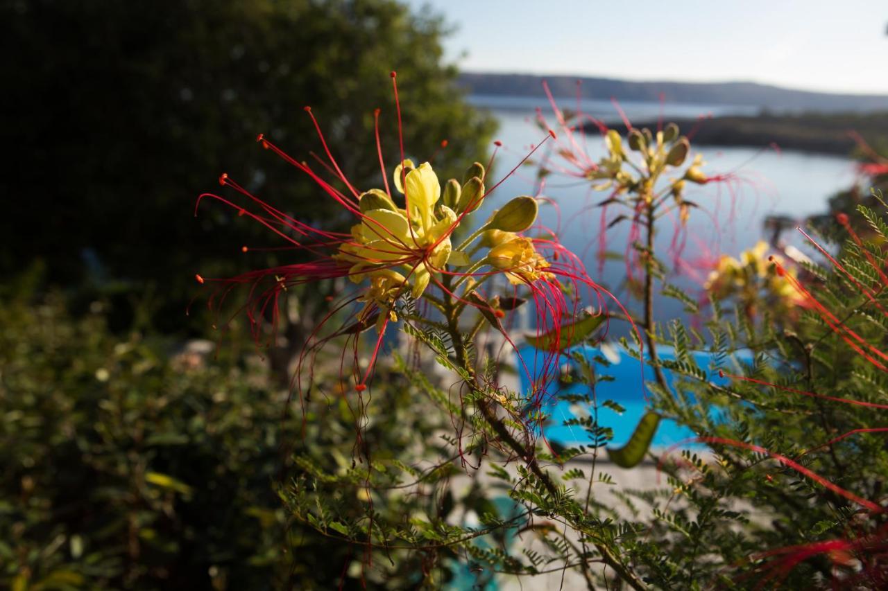 Resort Haus Toma Cesarica Eksteriør bilde