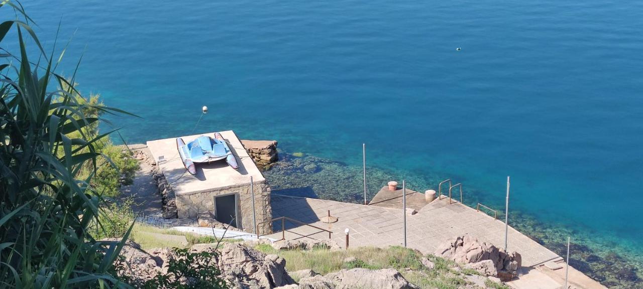 Resort Haus Toma Cesarica Eksteriør bilde