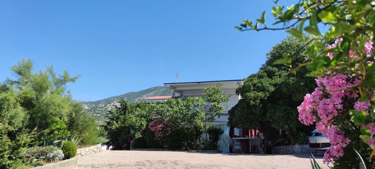 Resort Haus Toma Cesarica Eksteriør bilde